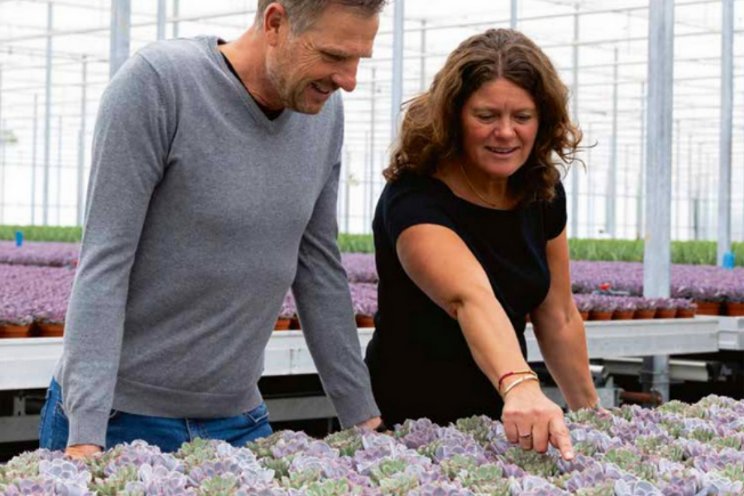 OVATA bewust groen OVATA bewust groen