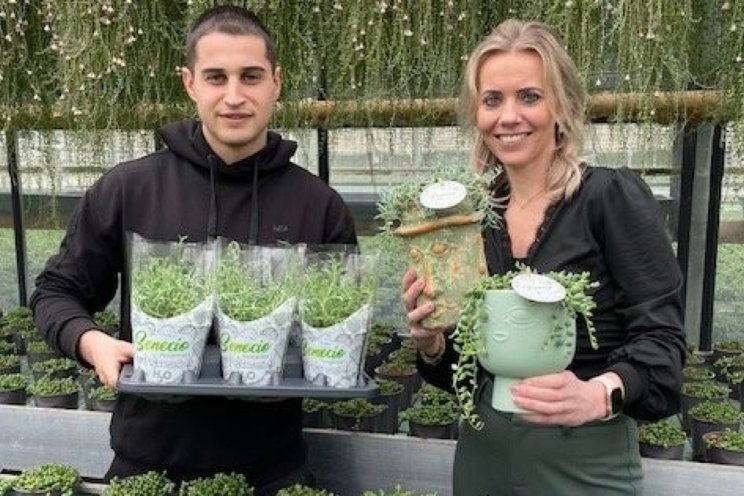 Etiketten en hoezen Grashopper slaan aan Etiketten en hoezen Grashopper slaan aan