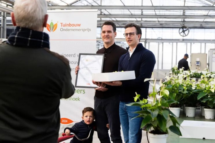 'Anthuriums telen kan ook heel goed veenvrij'