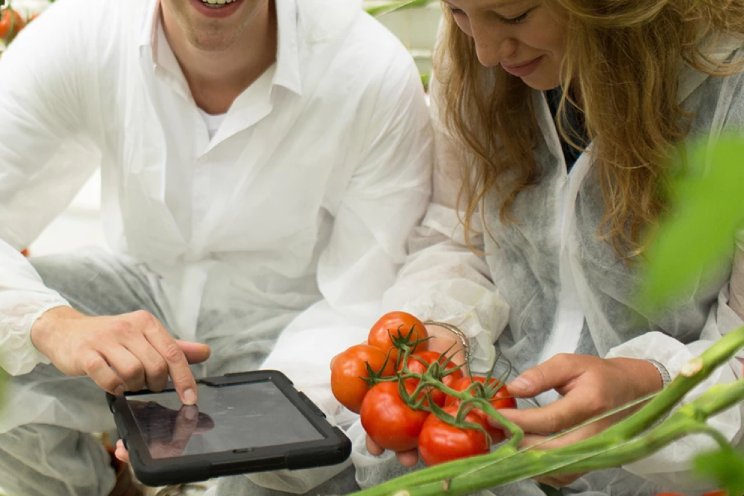'Ik wil leven terugbrengen in de plantenteelt' 'Ik wil leven terugbrengen in de plantenteelt'
