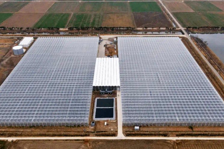 Aziatisch landen investeren in tuinbouw Aziatisch landen investeren in tuinbouw