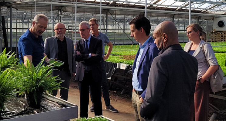 College Uithoorn bezoekt kwekerij de Zonnebloem College Uithoorn bezoekt kwekerij de Zonnebloem