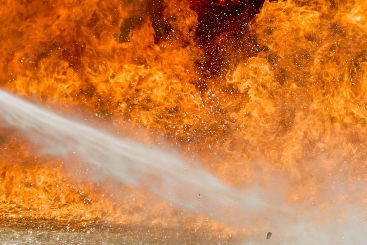Brand verwoest kwekerij Brand verwoest kwekerij