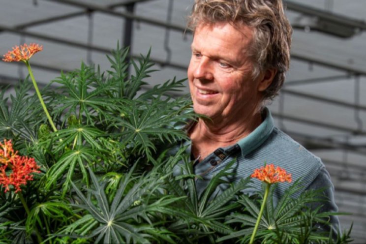 40 jaar Richplant 40 jaar Richplant