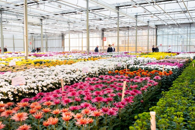 Delishow vol noviteiten Delishow vol noviteiten