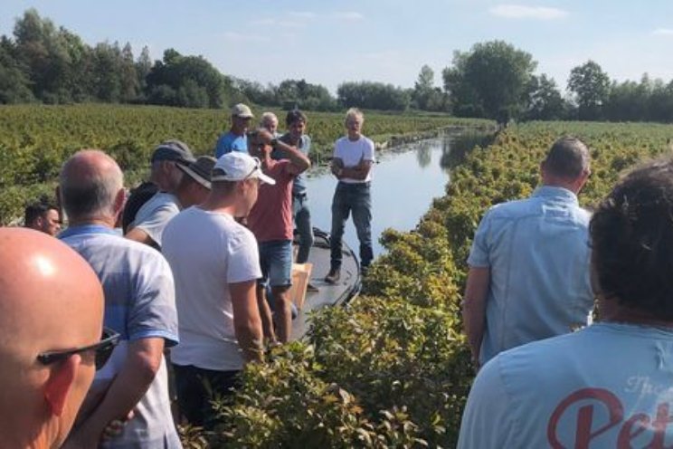 Trekheesters verwarmen met infrarood kansrijk Trekheesters verwarmen met infrarood kansrijk