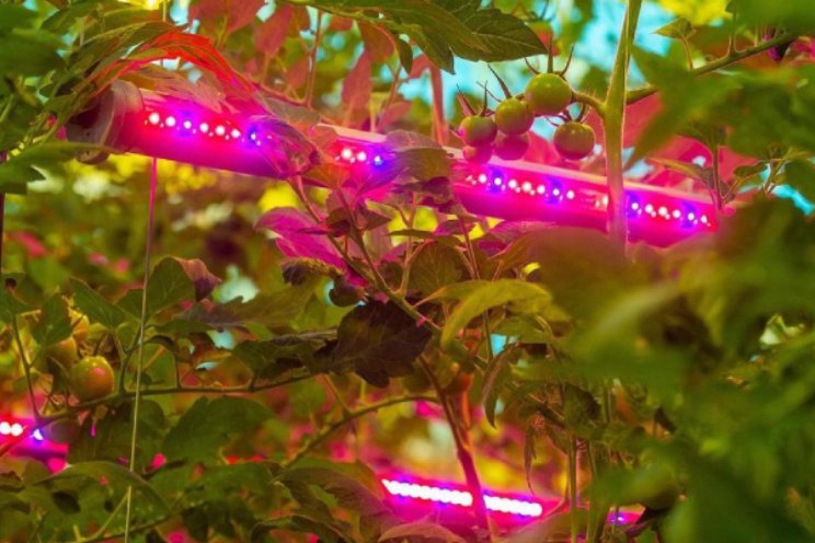 12.00 uur: Stigas over de risico's van LED 12.00 uur: Stigas over de risico's van LED