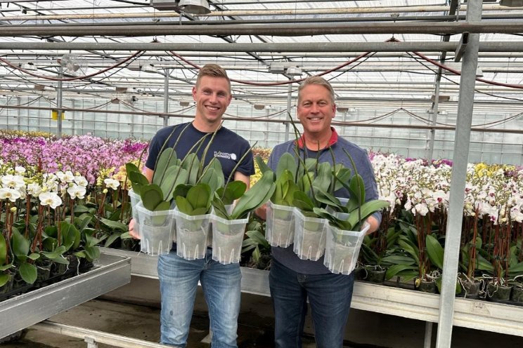 Plainview Growers verbetert productie Plainview Growers verbetert productie