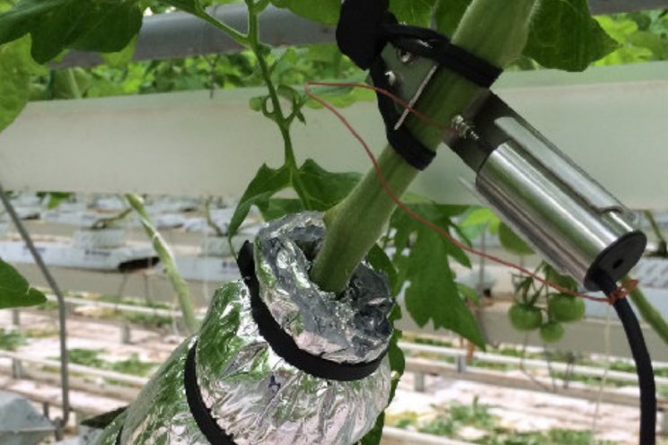 Sensoren inzetten voor een optimale teelt Sensoren inzetten voor een optimale teelt