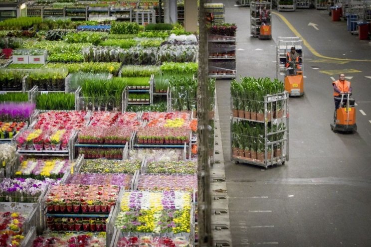 MPS steunt nieuwe duurzame richting RFH MPS steunt nieuwe duurzame richting RFH