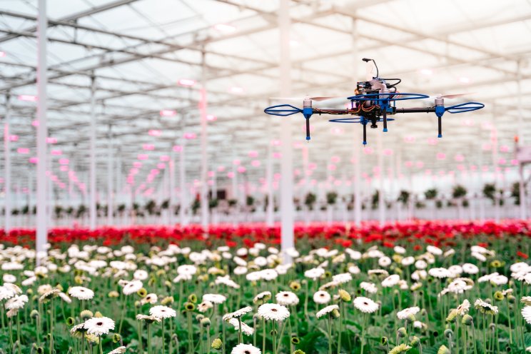 Drone vliegt door de kas bij Gerbera United Drone vliegt door de kas bij Gerbera United