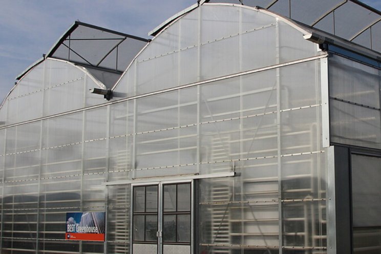 Gewassen gedijen goed in kas van noppenfolie Gewassen gedijen goed in kas van noppenfolie