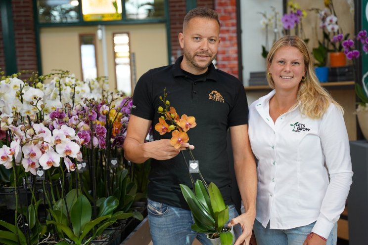 Levoplant: innovatie & groei met LetsGrow.com Levoplant: innovatie & groei met LetsGrow.com