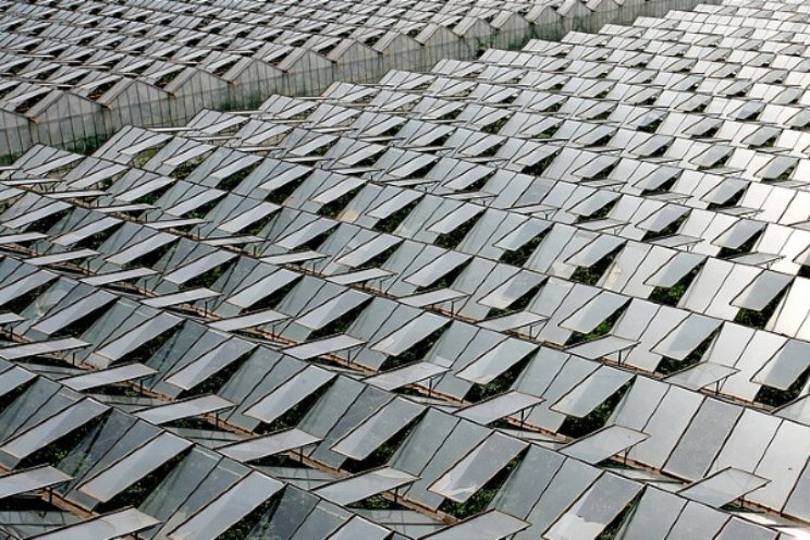 Zoeken naar geschikte 'smart materials' tuinbouw Zoeken naar geschikte 'smart materials' tuinbouw