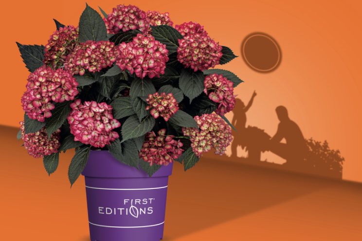 Heestermerk lanceert innovatie:‘ECLIPSE’ Heestermerk lanceert innovatie:‘ECLIPSE’