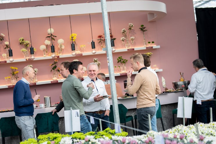 Nieuwe rassen Deliflor op 'chrysantenbelevenis'