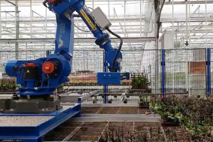 Grote stap voor OK Plant in teeltregistratie Grote stap voor OK Plant in teeltregistratie
