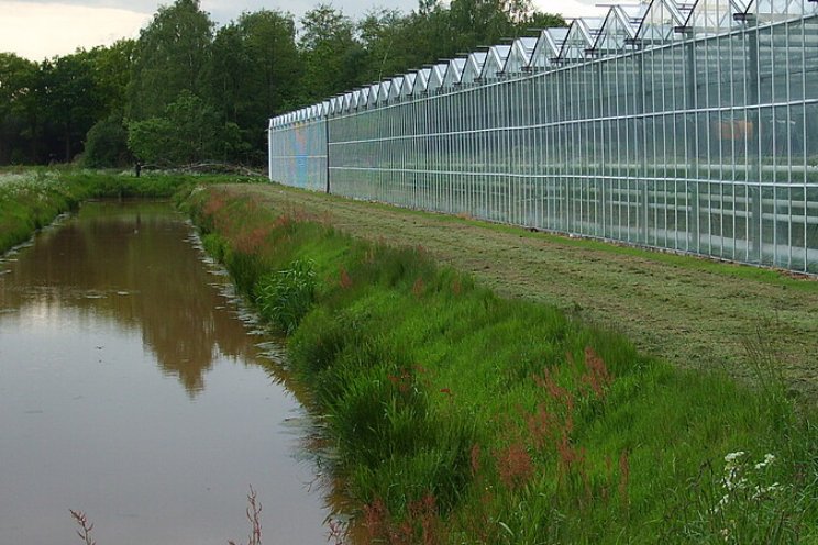 Kwantificering waterige reststromen tuinbouw
