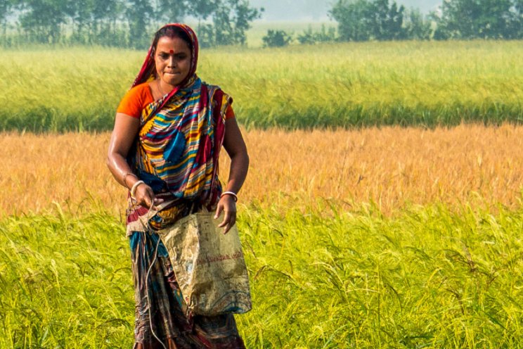 Bouw handelsrelaties op in opkomend Bangladesh Bouw handelsrelaties op in opkomend Bangladesh