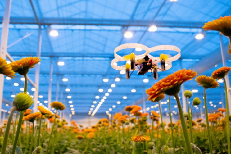 2030: Biologisch ecosysteem in circulaire kas 2030: Biologisch ecosysteem in circulaire kas