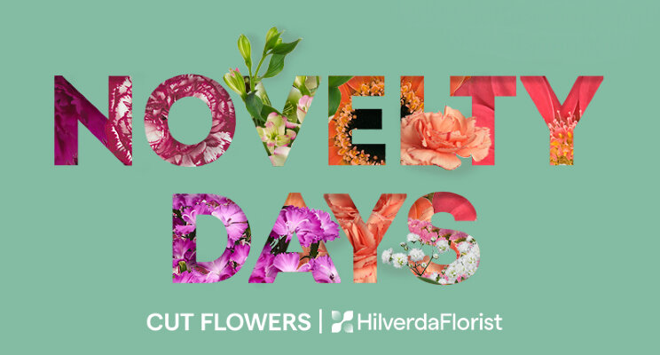 HilverdaFlorist opent deur HilverdaFlorist opent deur