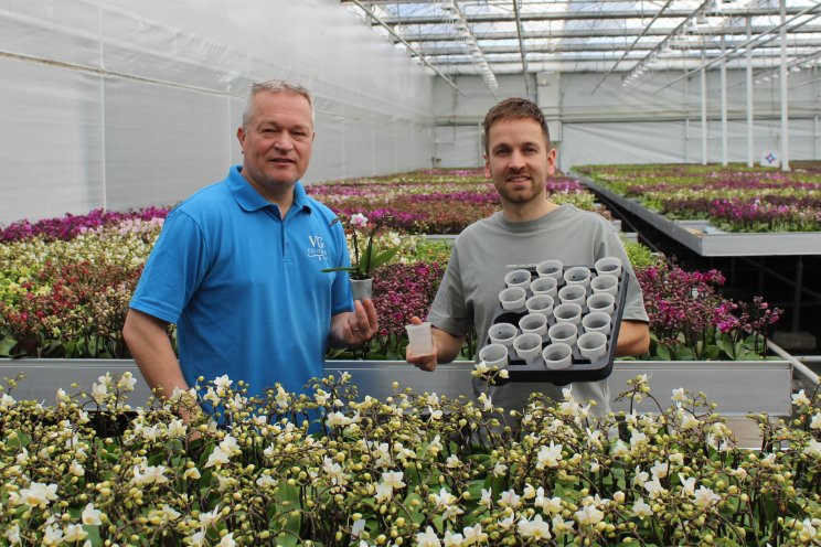 VG Orchids geeft Tiny Dolls duurzame touch