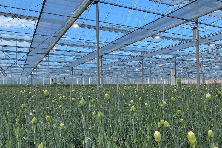 35% besparing op elektriciteit dankzij LED 35% besparing op elektriciteit dankzij LED