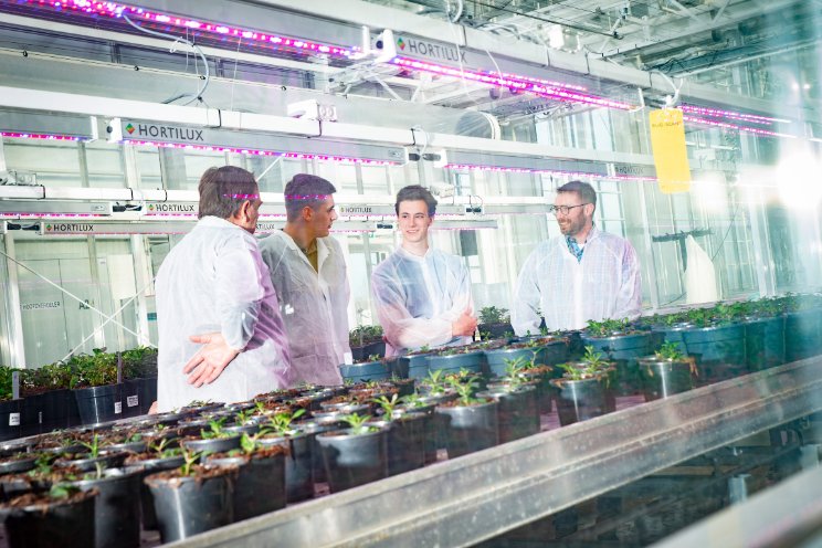 Upgrade opleiding Horti Technics & Management Upgrade opleiding Horti Technics & Management