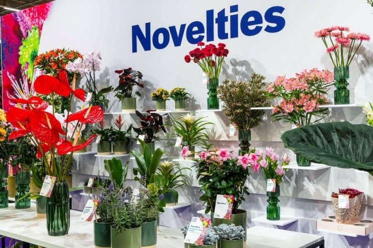 Toon jouw noviteit tijdens Trade Fair Rijswijk Toon jouw noviteit tijdens Trade Fair Rijswijk