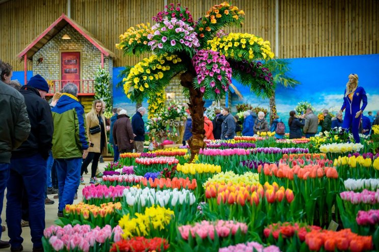 Lentetuin Breezand terug met vernieuwd concept Lentetuin Breezand terug met vernieuwd concept
