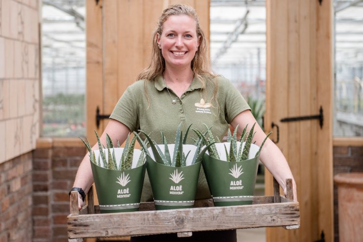 Morgen: Amigo Plant Morgen: Amigo Plant