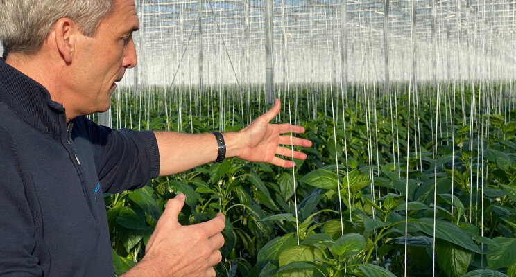 Schoolvoorbeeld van biologische bescherming Schoolvoorbeeld van biologische bescherming