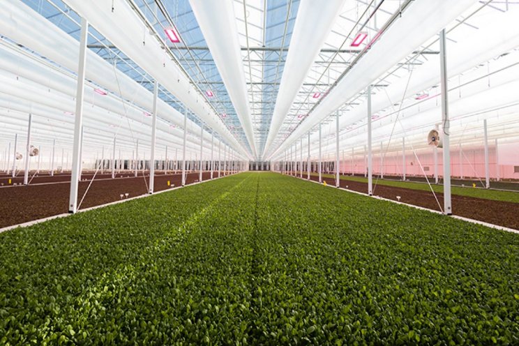 Samenwerking in VS tussen Revol Greens en Blue Radix Samenwerking in VS tussen Revol Greens en Blue Radix