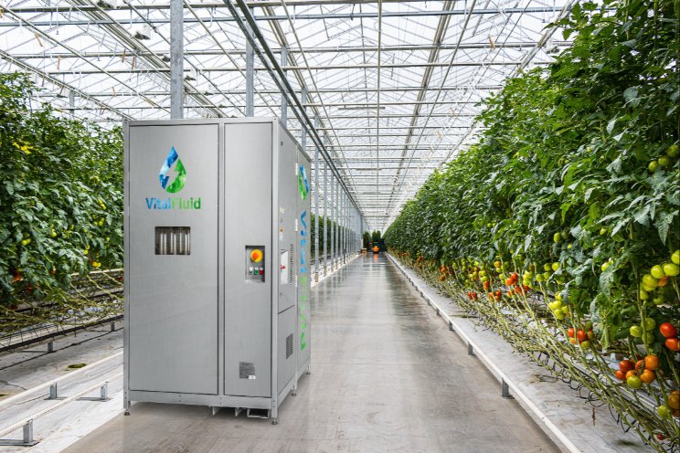 Horticoop investeert in plasmatechnologie