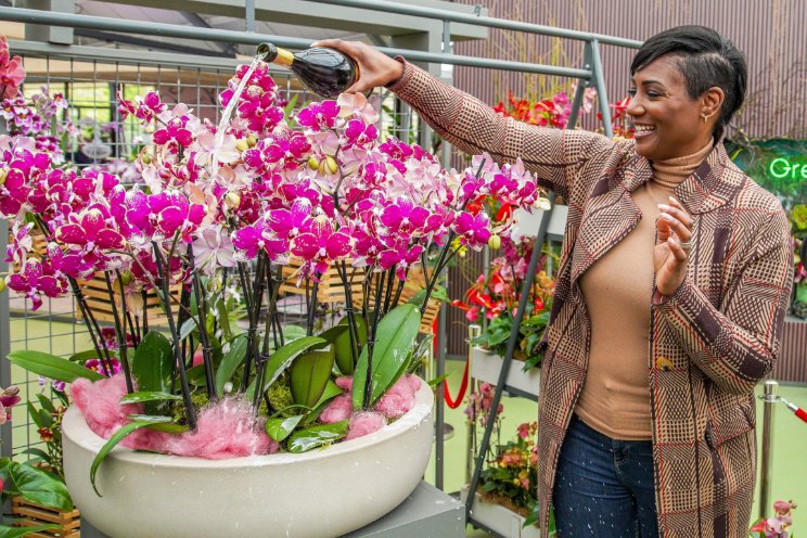 Edsilia Rombley doopt haar eigen Phalaenopsis Edsilia Rombley doopt haar eigen Phalaenopsis