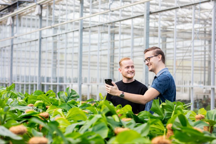 HortiHeat 2.0 krijgt koppeling met Floriday HortiHeat 2.0 krijgt koppeling met Floriday