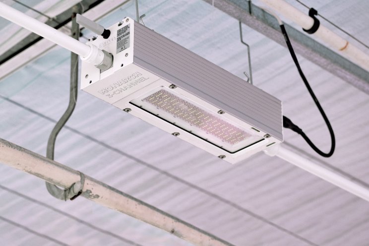 Nieuw product Oreon biedt optimale flexibiliteit Nieuw product Oreon biedt optimale flexibiliteit