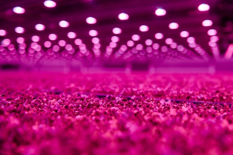 Kennisinventarisatie Masterplan licht Kennisinventarisatie Masterplan licht
