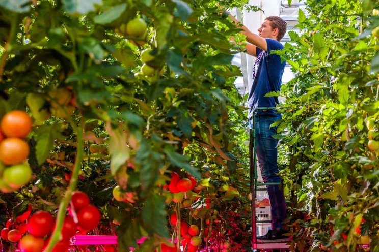 CoE Groen mag door met praktijkgericht onderzoek CoE Groen mag door met praktijkgericht onderzoek