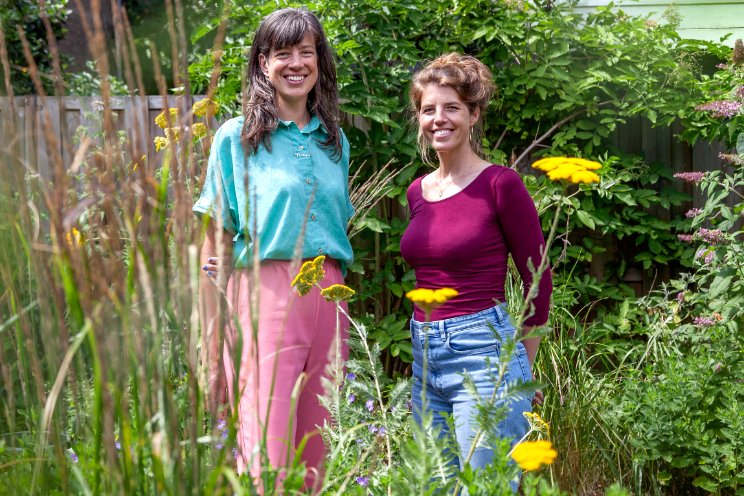 Biologische tuinplanten vliegen de deur uit Biologische tuinplanten vliegen de deur uit