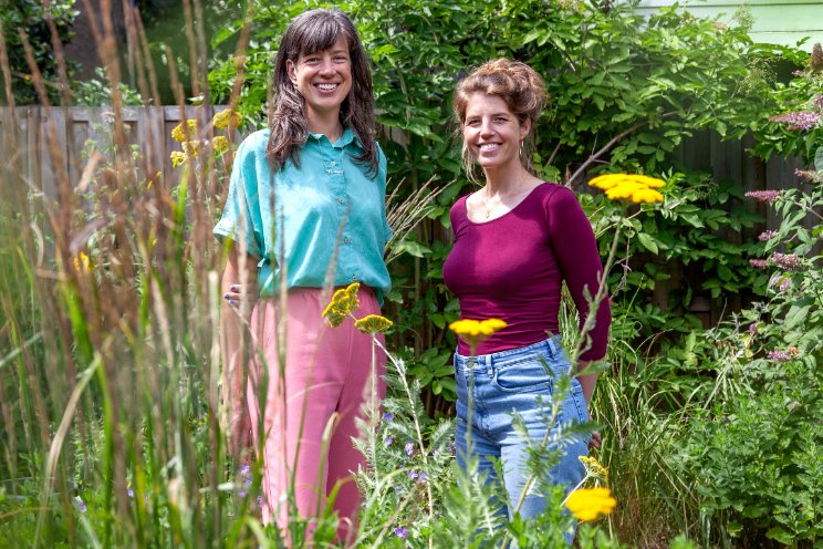 Biologische tuinplanten vliegen de deur uit