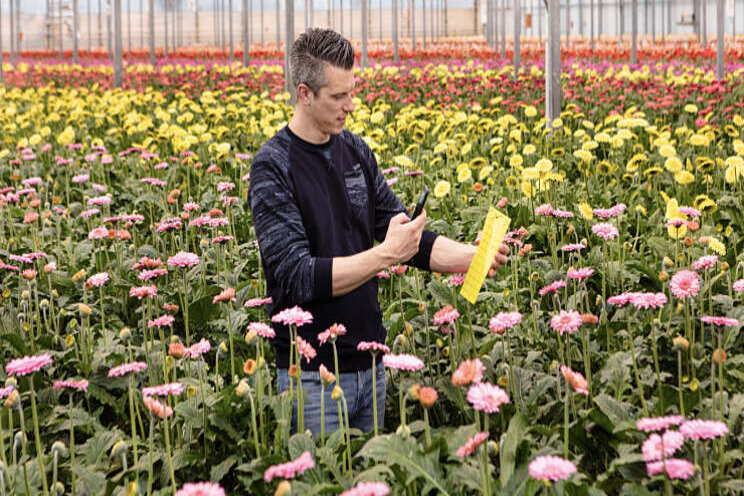 Royal Brinkman lanceert digitale scout app Royal Brinkman lanceert digitale scout app